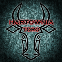 Hartownia szkła TORO